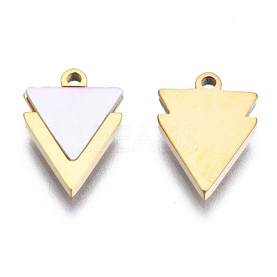 316 Surgical Stainless Steel Charms LS-STAS-N097-043-1