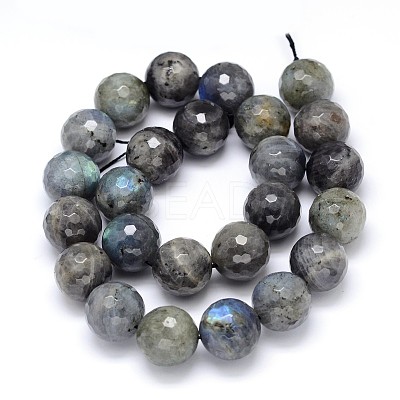 Natural Labradorite Round Bead Strands G-O094-06-16mm-1