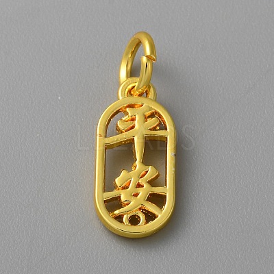 Alloy Pendants with Chinese Characters FIND-WH0159-63G-06-1