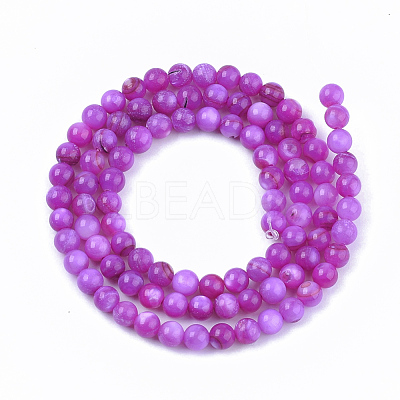 Freshwater Shell Beads Strands SHEL-S276-32F-1