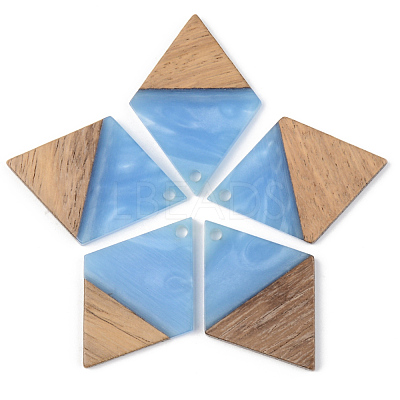 Opaque Resin & Walnut Wood Pendants RESI-S389-012A-C-1