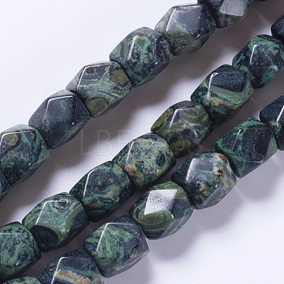 Natural Kambaba Jasper Beads Strands G-K267-08A-1
