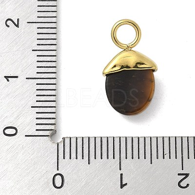 304 Stainless Steel Natural Tiger Eye Pendants STAS-L277-07G-01-1