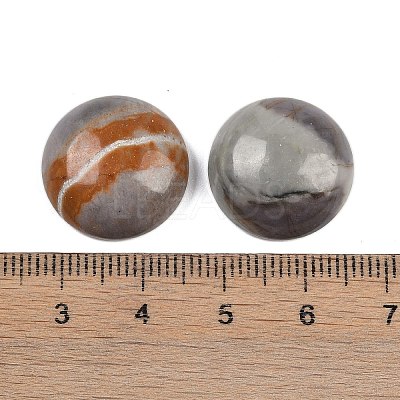 Natural Picasso Jasper Cabochons G-T020-18mm-42-1