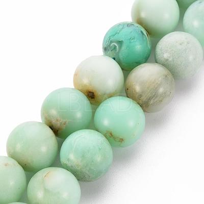 Natural Chrysoprase Beads Strands G-S333-10mm-037-1
