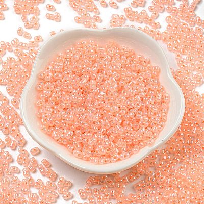 Ceylon Glass Seed Beads SEED-K009-02B-43-1