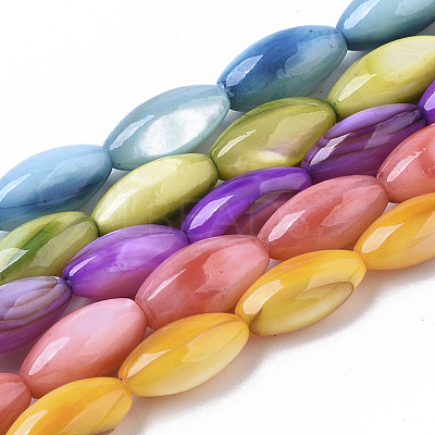 Natural Freshwater Shell Beads SHEL-R047-02-1
