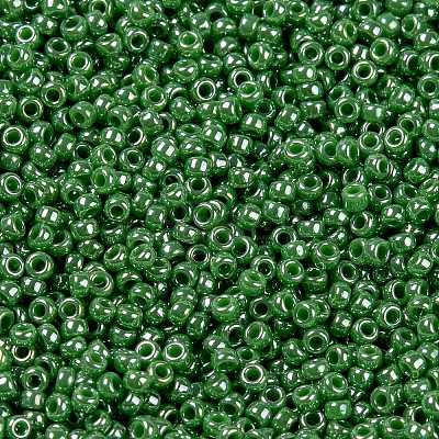 MIYUKI Round Rocailles Beads X-SEED-G009-RR0431-1
