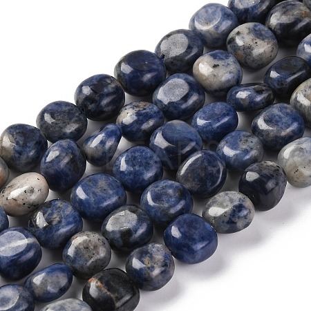 Natural Sodalite Beads Strands G-G146-A03-02-1