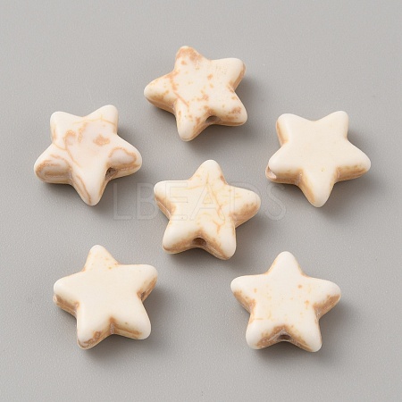 Synthetic Howlite Beads G-WH0026-28F-1