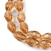 Transparent Glass Beads Strands EGLA-N013-T10mm-D21-3