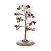 Natural Multicolor Tourmaline Chips & Agate Pedestal Display Decorations DJEW-A001-04F-2
