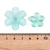 Transparent Acrylic Beads OACR-H039-04G-3