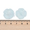 Frosted Transparent Acrylic Beads OACR-P029-19B-06-4