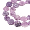 Natural Lepidolite Beads Strands G-L095-A01-01B-4