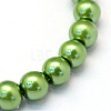 Baking Paint Pearlized Glass Pearl Round Bead Strands HY-Q003-6mm-13-2