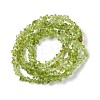 Natural Peridot Chip Beads Strands G-G905-09-3