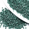 FGB 11/0 Grade A Glass Seed Beads SEED-S030-1209-1