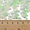 Glass Seed Beads SEED-K009-02B-20-4