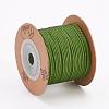 Nylon Braided Cord OCOR-L035-G23-2