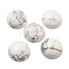 Natural Howlite Cabochons G-C115-02A-12-1