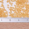 MIYUKI Delica Beads X-SEED-J020-DB0702-4