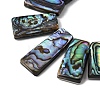 Natural Paua Shell Beads Strands BSHE-S305-01A-2