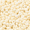 Baking Paint Glass Seed Beads X1-SEED-B001-02A-06-3