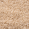 MIYUKI Delica Beads SEED-MY11-DB0205-3