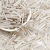 Silver Lined Transparent Glass Bugle Beads SEED-R028-2x20-B02-1