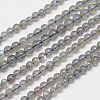Natural Labradorite Round Bead Strands LS-G-M263-A-03-1