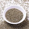 MIYUKI Delica Beads SEED-X0054-DB1862-2