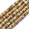 Natural Picture Jasper Beads Strands G-F631-A02-1