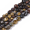 Natural Tiger Eye Beads Strands G-S363-031-1