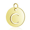 304 Stainless Steel Charms STAS-S105-T514G-C-1