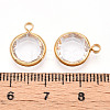 K9 Glass Charms X1-GLAA-T023-37A-02-3