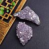 Electroplate Natural Drusy Amethyst Display Decorations PW-WG62588-01-3