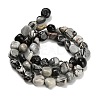 Natural Picasso Jasper Beads Strands G-K398-A01-01-3