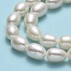 Natural Cultured Freshwater Pearl Beads Strands PEAR-J006-20B-01-4