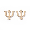 304 Stainless Steel Charms LS-STAS-K215-11G-2