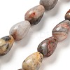 Natural Crazy Agate Beads Strands G-B106-A14-01-2