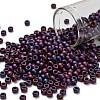 TOHO 6/0 Round Beads SEED-XTR06-0704-1