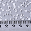 Opaque Glass Seed Beads SEED-S042-12A-01-4