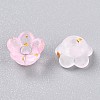 Frosted Transparent Acrylic Beads OACR-N137-72B-3