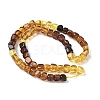 Natural Amber Beads Strands G-L095-E01-02-3
