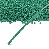 MIYUKI Round Rocailles Beads X-SEED-G007-RR4477-4