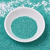 MIYUKI Delica Beads SEED-MY11-DB0759-2