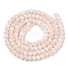 Electroplate Glass Beads Strands EGLA-A044-P3mm-B05-3