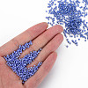 12/0 Opaque Glass Seed Beads SEED-T006-01D-D03-6