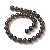 Natural Ice Obsidian Beads Strands G-P590-A03-12mm-01-5
